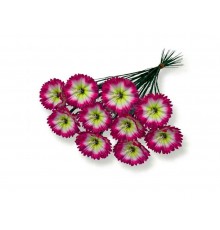 Гілка Волошка h-40см г-1 р-8см малиновий з білою серединою шовк (10шт/уп) ТМ MEMORI